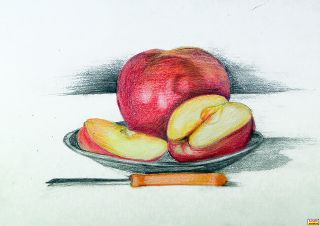 How to draw still life with oil pastel - YouTube